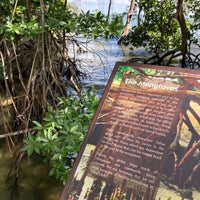 Photo taken at Chek Jawa Mangroves by gerard t. on 12/30/2020