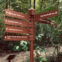 Photo taken at MacRitchie Nature Trails by gerard t. on 10/22/2023
