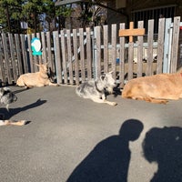 Photo taken at Itabashi Children&amp;#39;s Zoo by あゆっち on 12/7/2022