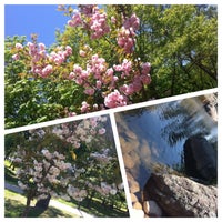 Photo taken at Kyoto Park by Anzhela S. on 5/6/2013