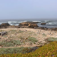 Photo taken at Pescadero State Beach by BestTraveller on 7/11/2022