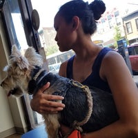 Photo taken at Pure Paws Veterinary Care of Clinton Hill by Jeff K. on 6/30/2019
