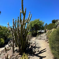 Photo taken at UC Berkeley Botanical Gardens by Dean M. on 7/29/2023