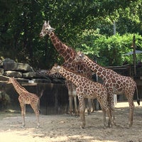 Photo taken at Memphis Zoo by Chris W. on 7/7/2021