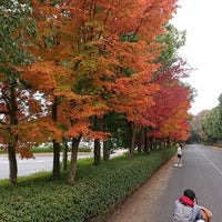 三景園 Jardin En 三原市