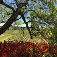 Healdsburg Country Gardens Vineyard In Healdsburg