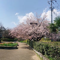 Photo taken at さくらの散歩道 by Norihiro T. on 4/1/2023