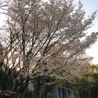 Photo taken at 葛ケ谷公園 by Norihiro T. on 3/26/2021