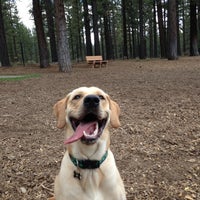 Photo taken at Bijou Dog Park by Shelby F. on 9/20/2013