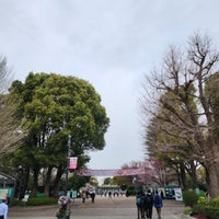 Photo taken at Ueno Zoo by Tamotsu K. on 4/2/2024