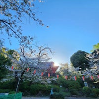 Photo taken at Kiyomizu Kannon-do by Tamotsu K. on 4/9/2024