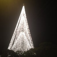 Árvore de Natal da Energisa - 3 dicas de 135 clientes