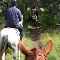 Снимок сделан в Texas Trail Rides пользователем Vina O. 10/10/2013