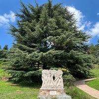 Photo taken at Folly Arborétum by Viktória E. on 7/16/2023