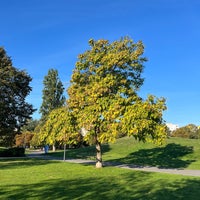 Photo taken at Bikás park by Viktória E. on 10/9/2022