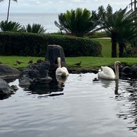 Photo taken at Grand Hyatt Kauai Resort &amp;amp; Spa by Joe on 2/2/2024