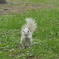Photo taken at Parc La Fontaine by Ivan G. on 5/21/2017