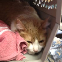 Photo taken at Clear Lake City Vet Clinic by Lauren A. on 12/26/2012