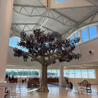 รูปภาพถ่ายที่ Wilmington International Airport (ILM) โดย Taylor H. เมื่อ 8/2/2022
