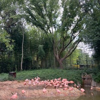 Photo taken at Flamingo Exhibit by Taylor H. on 9/9/2023