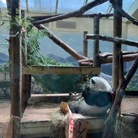 Photo taken at Panda Exhibit by Taylor H. on 9/9/2023