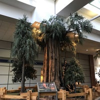 Image added by 💑Carolyn Hughes at Fresno Yosemite International Airport Cell Phone Waiting Area