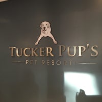 8/10/2016 tarihinde Anthony H.ziyaretçi tarafından Tucker Pup&amp;#39;s Pet Resort'de çekilen fotoğraf