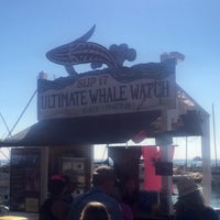 Das Foto wurde bei Ultimate Whale Watch von Eric T. am 1/22/2015 aufgenommen