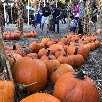 Photo taken at Clancy&amp;#39;s Pumpkin Patch by Toby C. on 10/23/2017