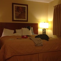 Comfort Inn Cockatoo Hotel In North Hawthorne