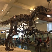 Photo taken at American Museum of Natural History by Antonio D. on 5/9/2015