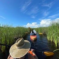 Photo prise au Manatee Sightseeing Eco-Tourism Adventure par Anthony V. le8/7/2021