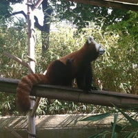 Photo taken at Ménagerie du Jardin des Plantes by Fanny P. on 5/5/2013