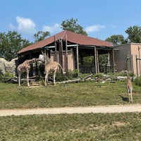 Photo taken at Blank Park Zoo by Amanda N. on 7/4/2021