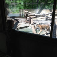 Photo taken at Binghamton Zoo at Ross Park by Jennifer K. on 5/12/2013