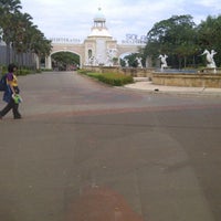 Patung Kuda Laut Penjaringan 3 Tips