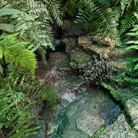 Photo taken at Garfield Park Conservatory by Artem I. on 12/23/2023