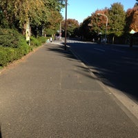 Photo taken at 外苑周回道路 by Rio T. on 11/20/2012