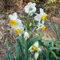 Photo taken at Sangubashi Gate by Nijimu A. on 2/21/2021