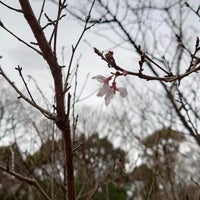 Photo taken at Komabano Park by Nijimu A. on 3/18/2024