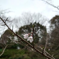 Photo taken at Komabano Park by Nijimu A. on 3/25/2024