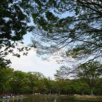 4/21/2019にNijimu A.が代々木公園で撮った写真