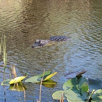 Photo taken at Airboat In Everglades by Clinton™ on 3/11/2023