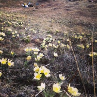 Photo taken at Вилюйский Тракт 4 км by Yulia A. on 5/4/2013