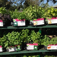 Lukas Nursery 1909 Slavia Rd Photo Taken At Lukas Nursery By Andy R On 11 3 2017