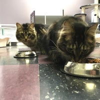 4 legged friends daycare and boarding