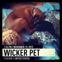 Photo taken at Wicker Pet by Melissa M. on 11/13/2012