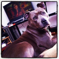 Foto scattata a Braxton&amp;#39;s Animal Works da M P. il 4/19/2012