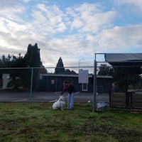 vca kent animal hospital