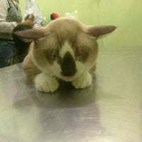 Photo taken at Mahardika Pet Clinic by IP S. on 11/18/2012
